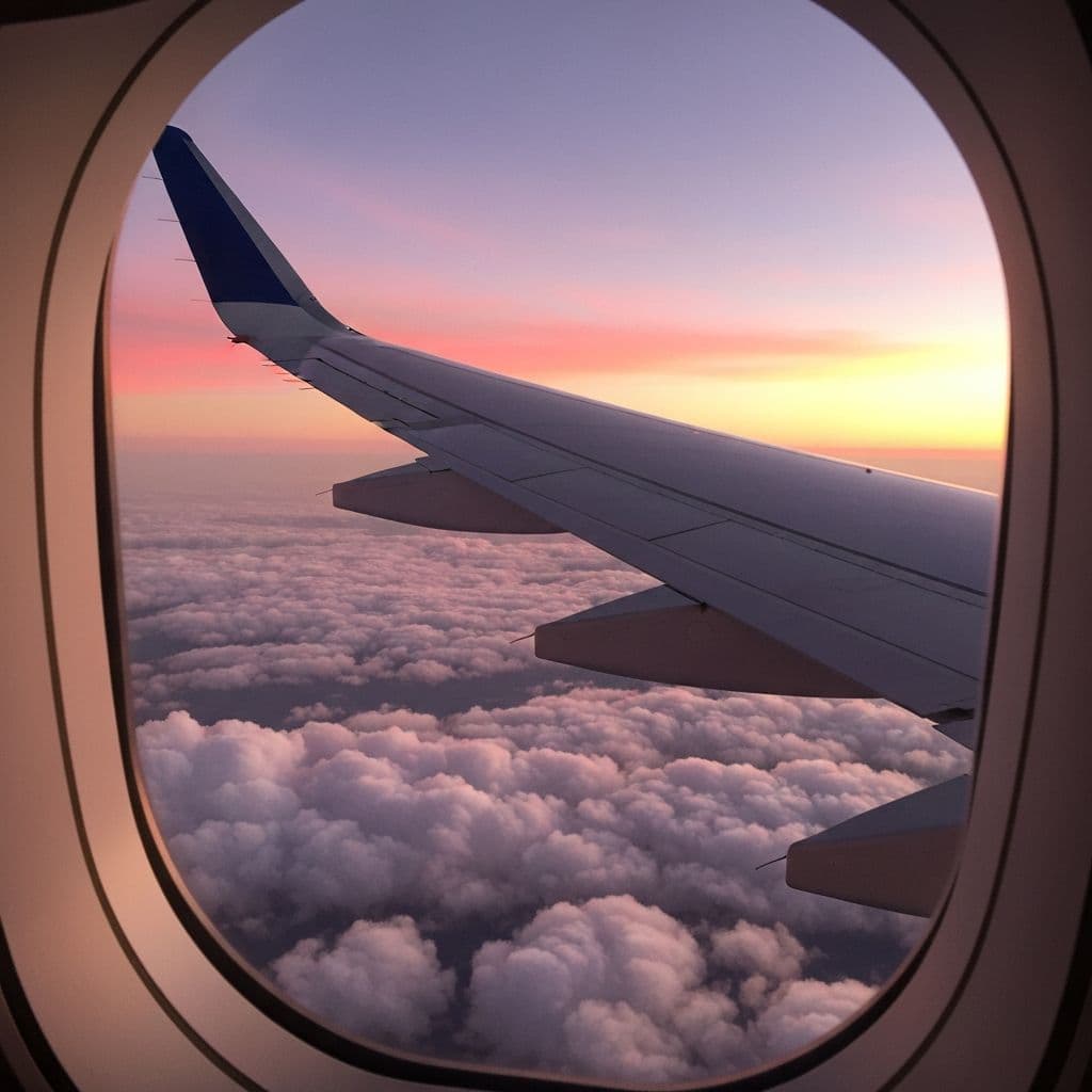 Flight Redemptions